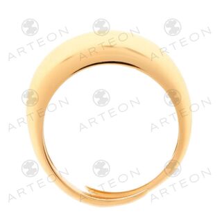 Γυναικείο Δαχτυλίδι Arteon 23734-Big Ασήμι 925-Επιχρύσωση
