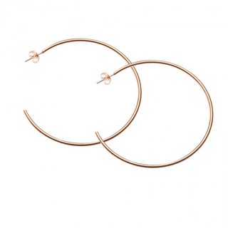 Earrings Hoops Surgical Steel Pink gold IP N-01940R